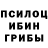 Галлюциногенные грибы Psilocybine cubensis Ksu Glv
