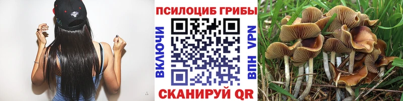 Галлюциногенные грибы Magic Shrooms  купить наркоту  Руза 